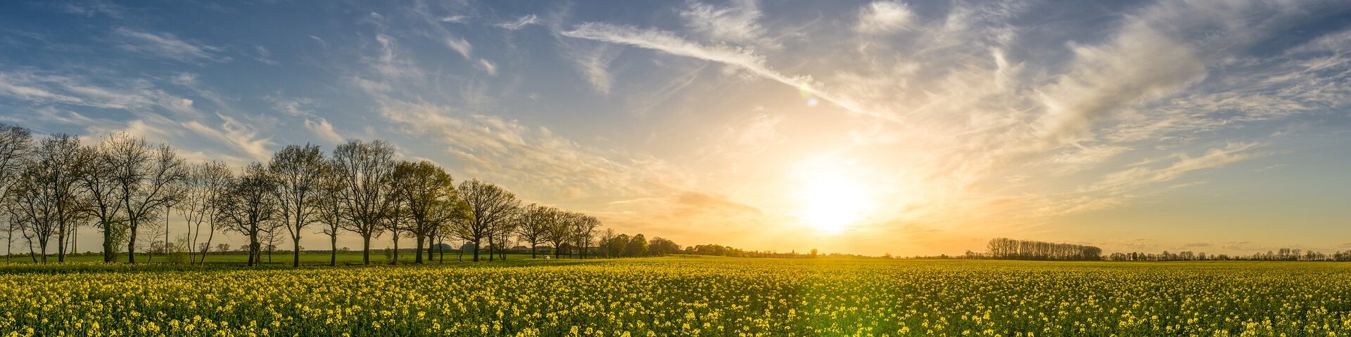 Sonne mit blauem Himmel